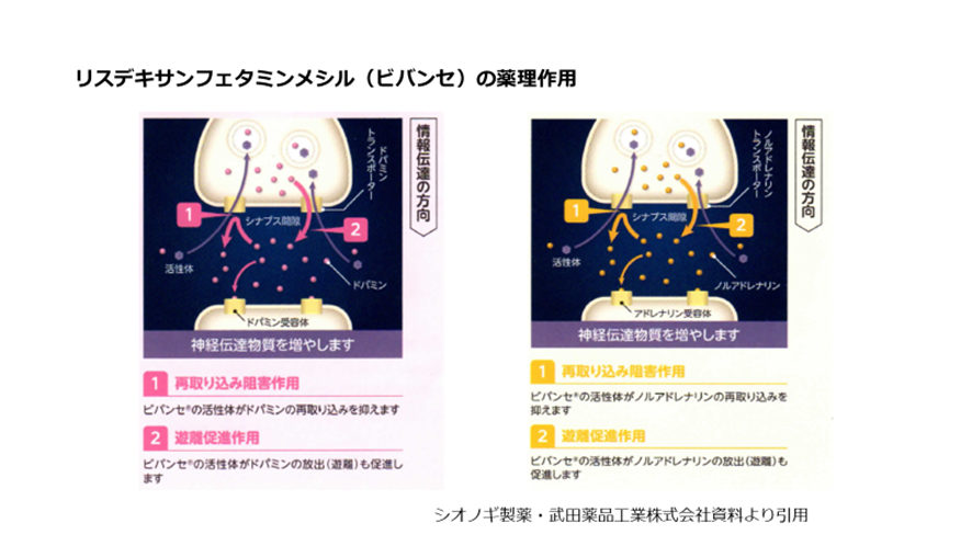 リスデキサンフェタミンメシル（ビバンセ）の薬理作用