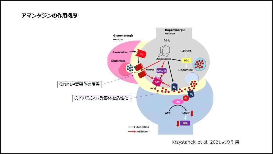 アマンタジンの作用機序