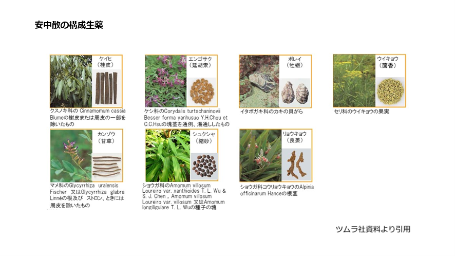 安中散の構成生薬