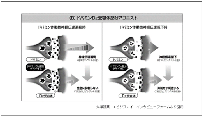 （B）ドパミンD2受容体部分アゴニスト）