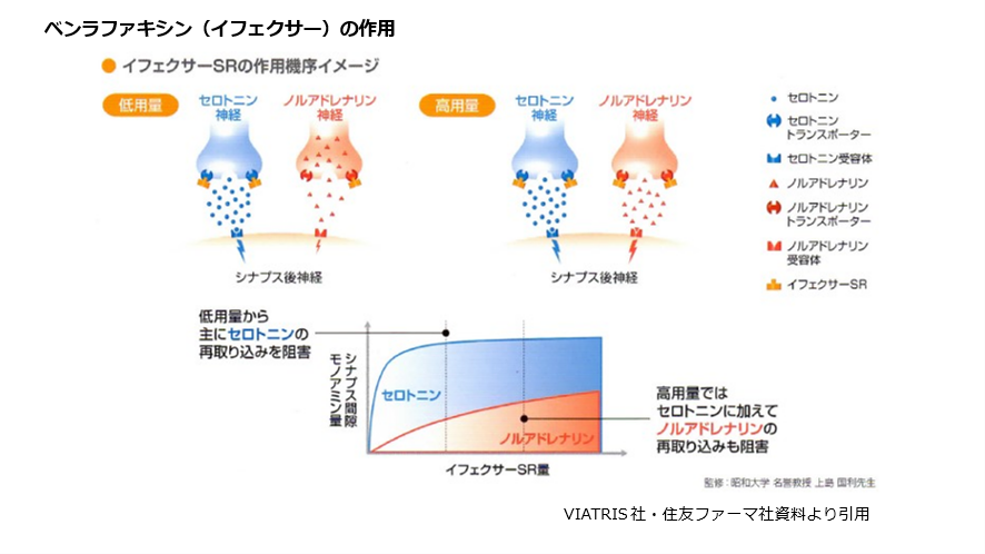 ベンランファキシン(イフェクサー)の作用