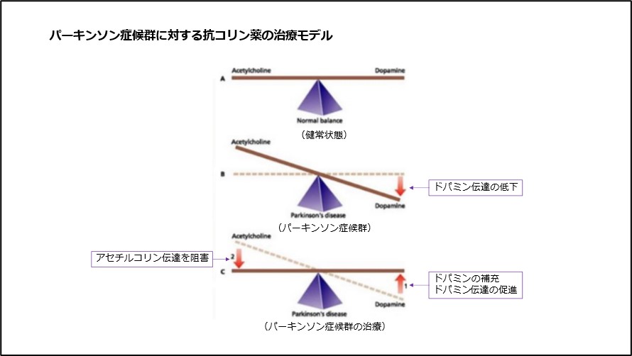 パーキンソン症候群に対する抗コリン薬の治療モデル