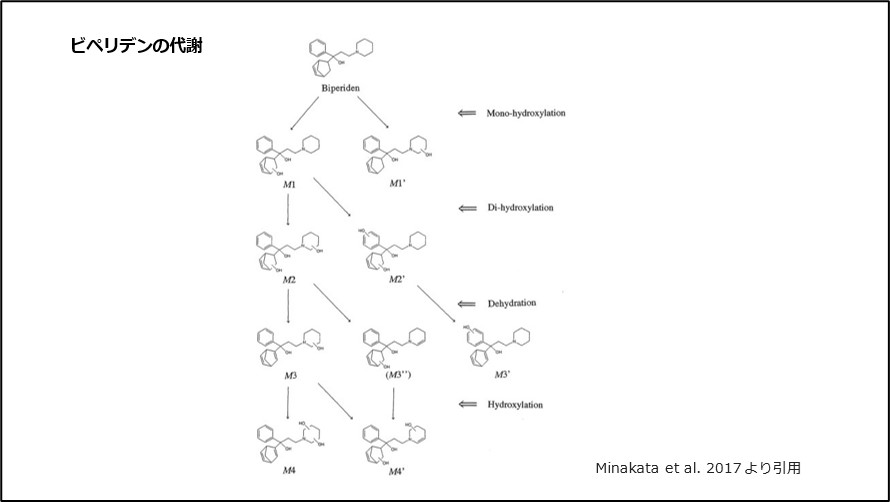 ビペリデンの代謝