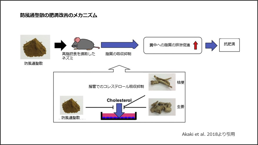 防風通聖散の肥満改善メカニズム