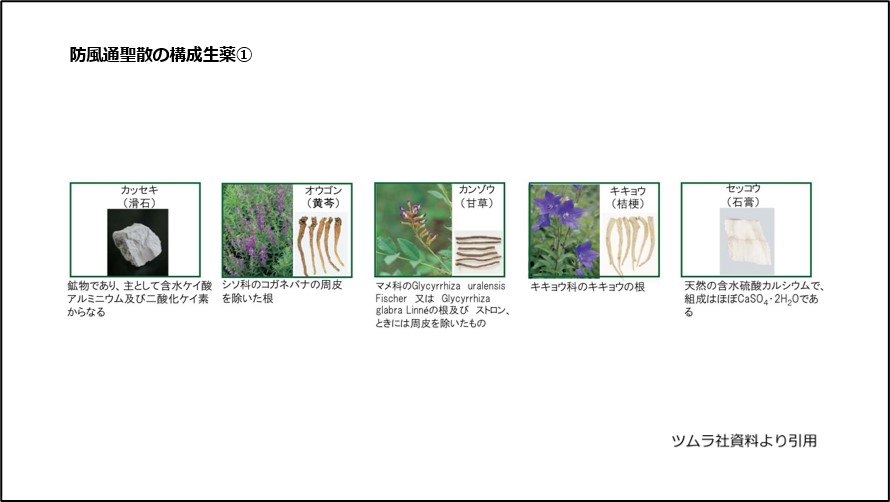 防風通聖散の構成生薬①