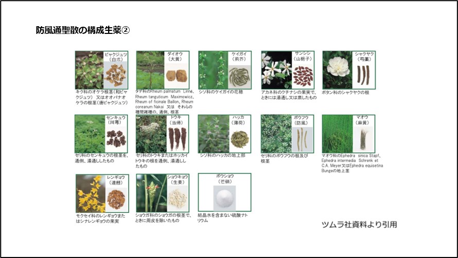 防風通聖散の構成生薬②