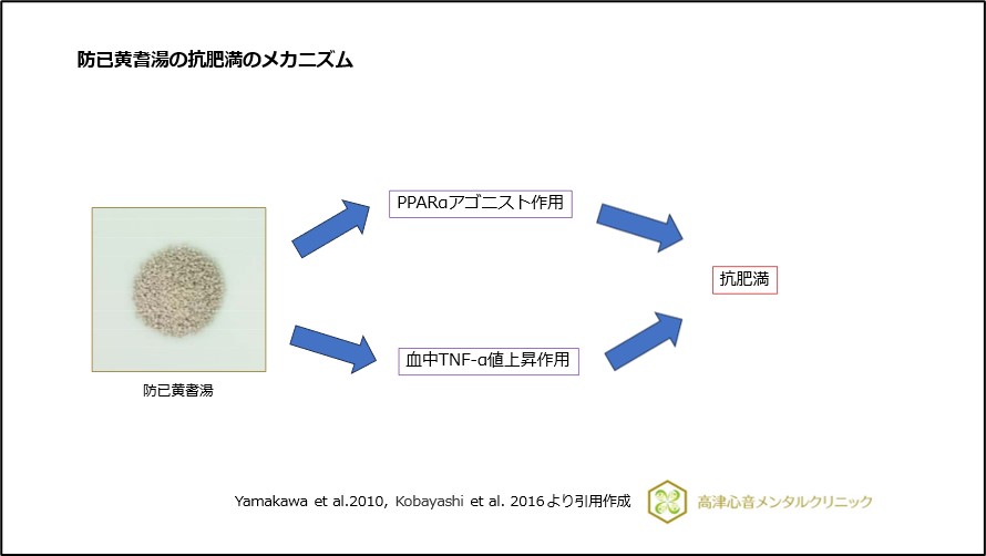 防已黄耆湯の抗肥満のメカニズム