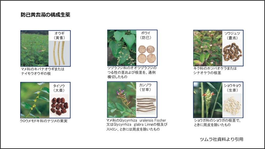 防已黄耆湯の構成生薬