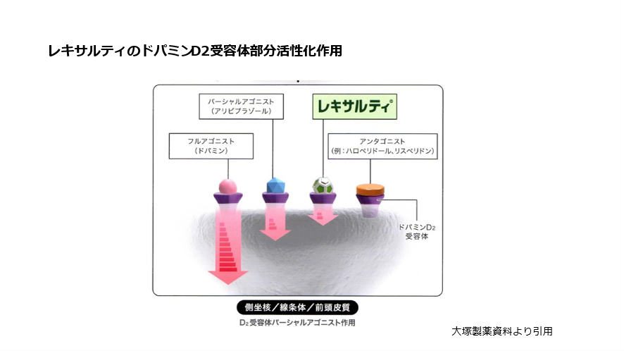 レキサルティのドパミンD2受容体部分活性化作用