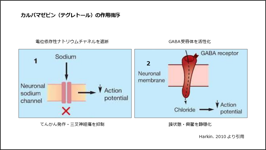 カルバマゼピン（テグレトール）の作用機序