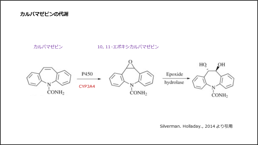 カルバマゼピンの代謝