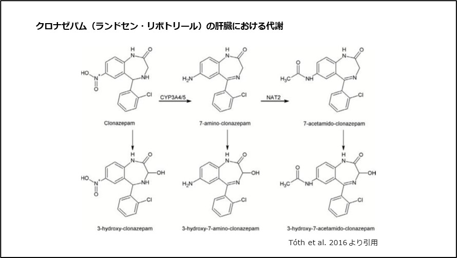 クロナゼパム（ランドセン・リボトリール）の肝臓における代謝