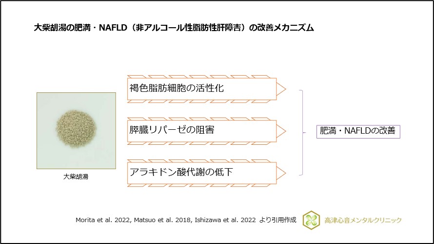 大柴胡湯の肥満・NAFLD（非アルコール性脂肪性肝障害）の改善メカニズム