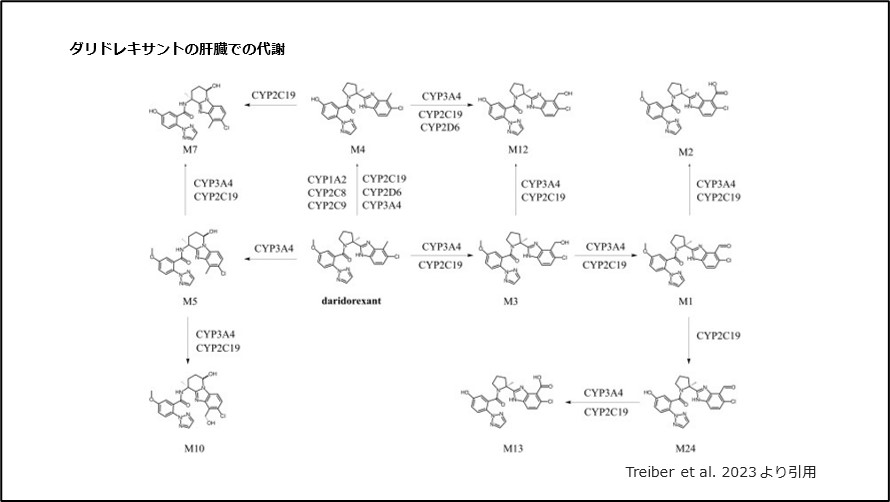 ダリドレキサントの肝臓での代謝