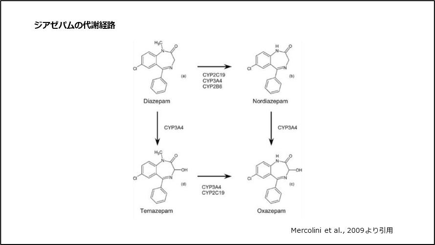 ジアゼパムの代謝経路