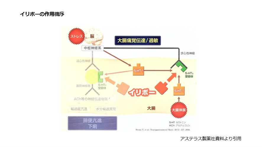 イリボーの作用機序