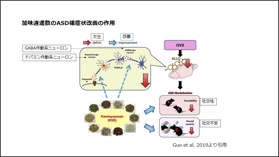 加味逍遥散のASD様症状改善の作用