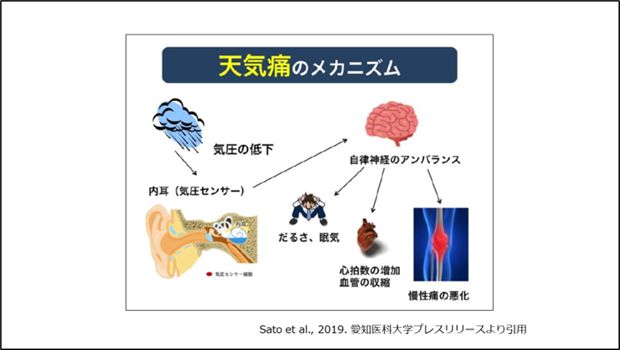天気痛のメカニズム