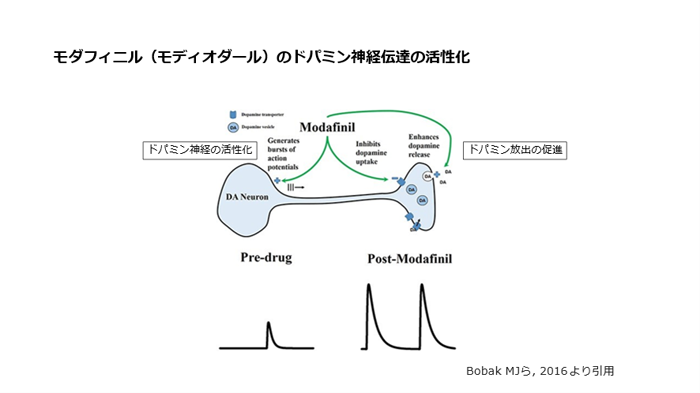 モダフィニル（モディオダール）のドパミン神経伝達の活性化