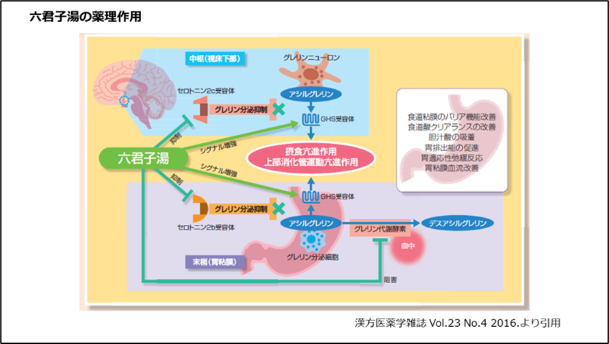 六君子湯の薬理作用