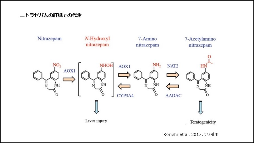 ニトラゼパムの肝臓での代謝