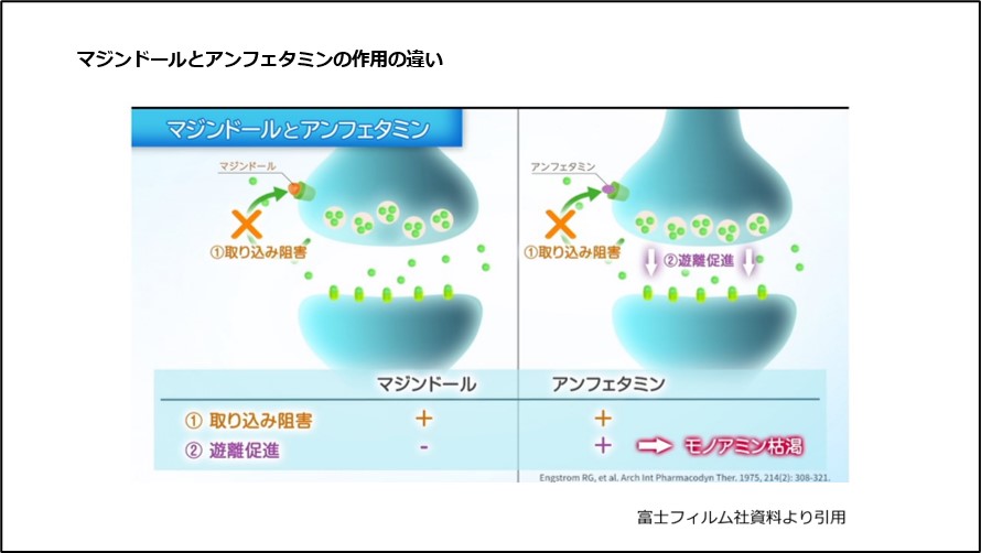 マジンドールとアンフェタミンの作用の違い