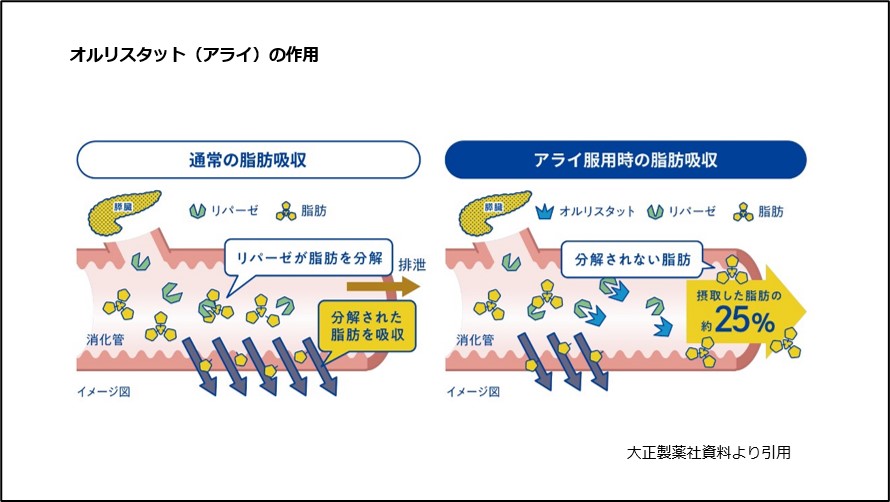 オルリスタット（アライ）の作用