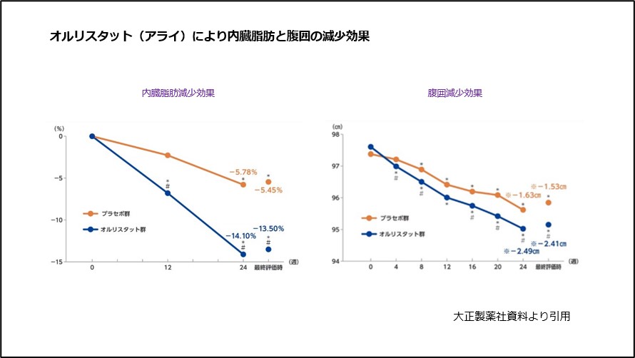 オルリスタット（アライ）により内臓脂肪と腹囲の減少効果