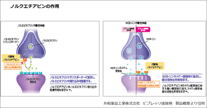 ノルクエチアピンの作用