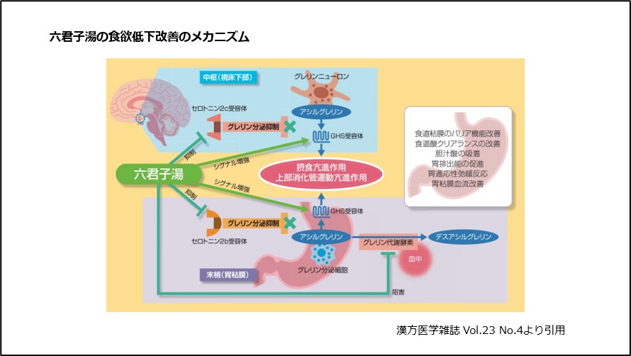 六君子湯の食欲低下改善のメカニズム