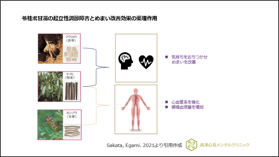 苓桂朮甘湯の起立性調節障害とめまい改善効果の薬理作用