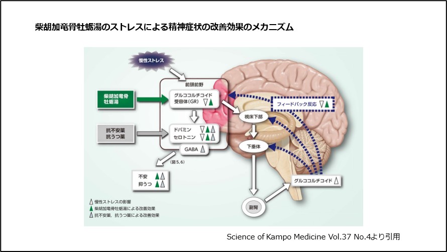 柴胡加竜骨牡蛎湯のストレスによる精神症状の改善効果メカニズム