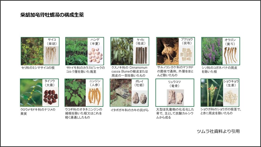 柴胡加竜骨牡蛎湯の構成生薬