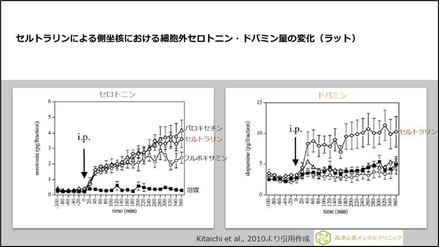 セルトラリンによる側坐核における細胞外セロトニン・ドパミン量の変化（ラット）