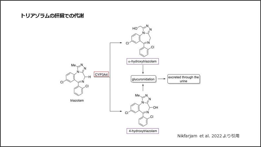 トリアゾラムの肝臓での代謝