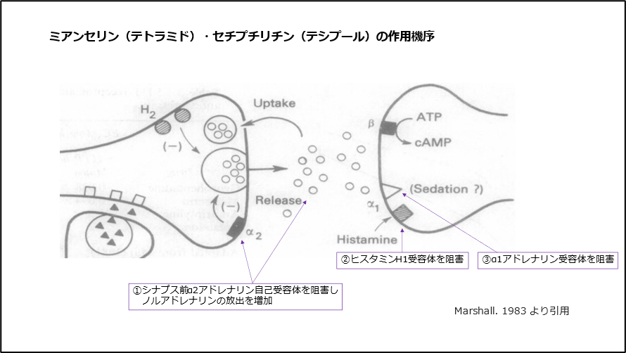 ミアンセリン（テトラミド）・セチプチリチン（テシプール）の作用機序