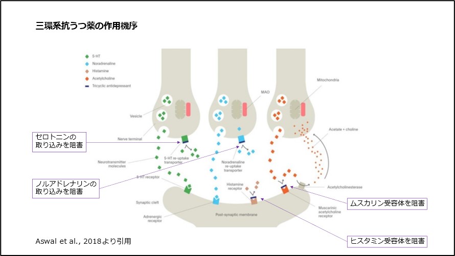 三環系抗うつ薬の作用機序
