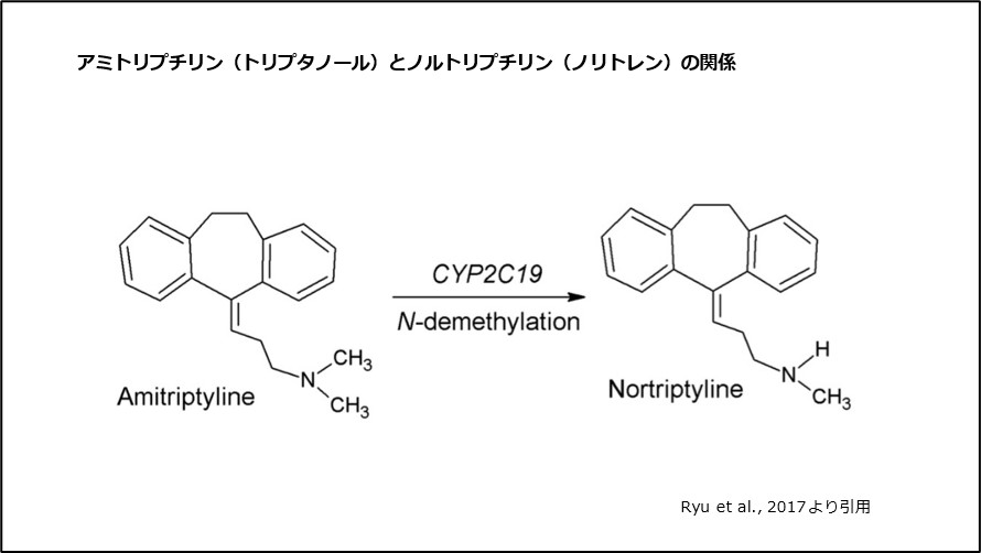 アミトリプチリン（トリプタノール）とノルトリプチリン（ノリトレン）の関係