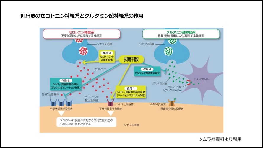 抑肝散のセロトニン神経系とグルタミン酸神経系の作用