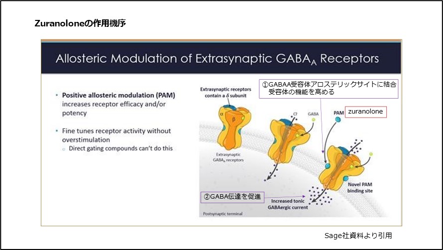 ズラノロンの作用機序