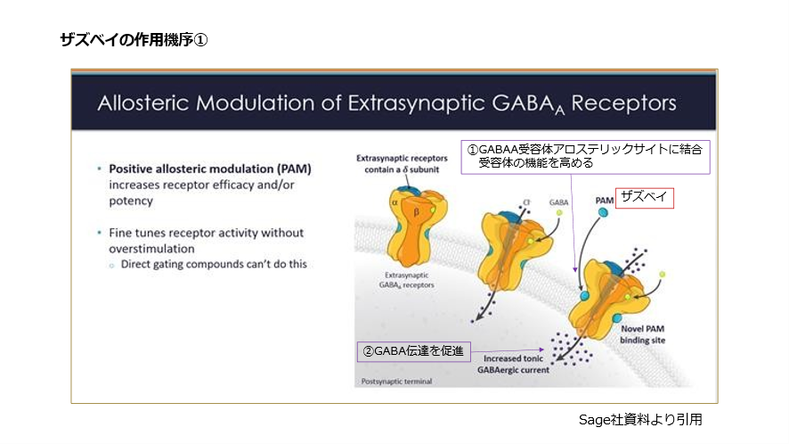 ザズベイの作用機序①