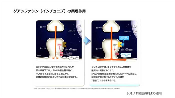 グアンファシン（インチュニブ）の薬理作用