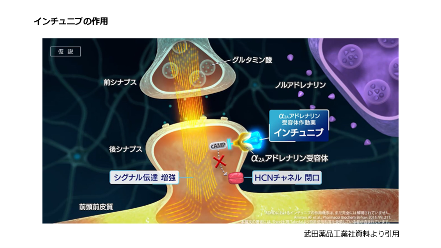 インチュニブの作用
