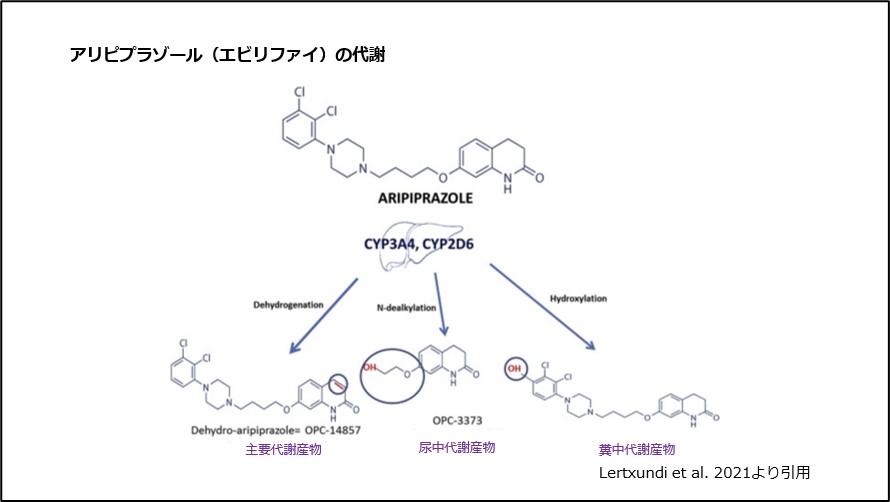 アリピプラゾール（エビリファイ）の代謝