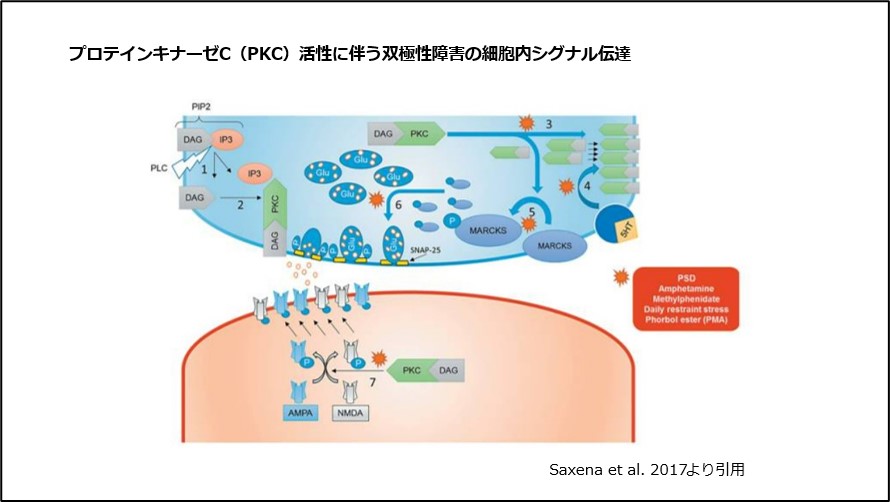 不安障害 ダンJスタイン エリックホランダー 不安抑うつ臨床研究会 日本評論社 双極性障害急性躁病相における薬物治療の有効性と忍容性の比較