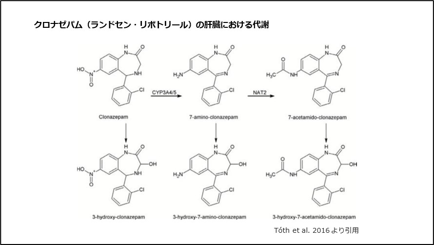 クロナゼパム(ランドセン・リボトリール)の肝臓における代謝