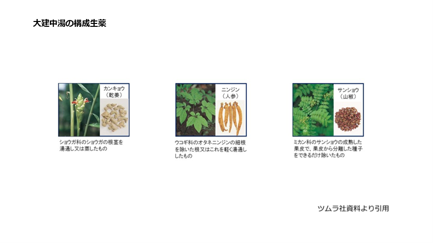 大建中湯の構成生薬