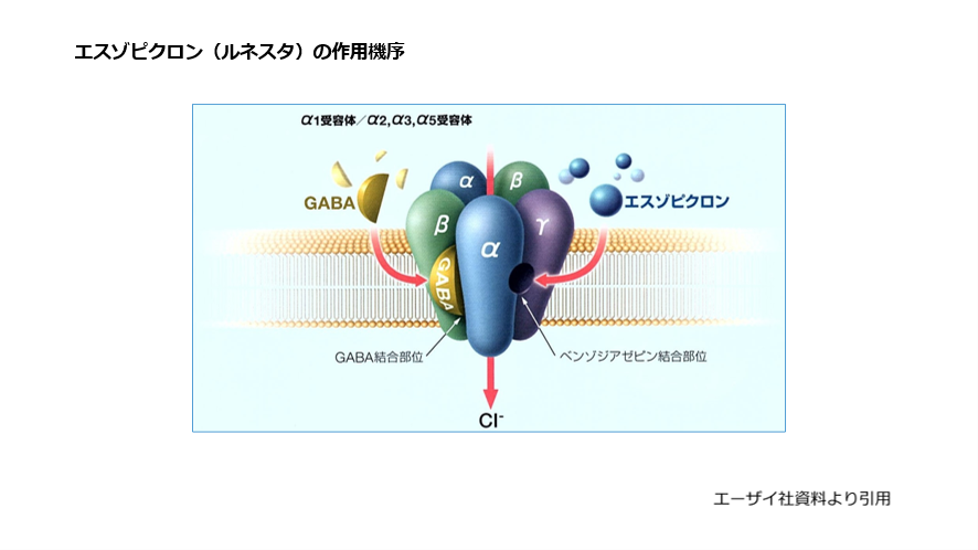 エスゾピクロン(ルネスタ)の作用機序