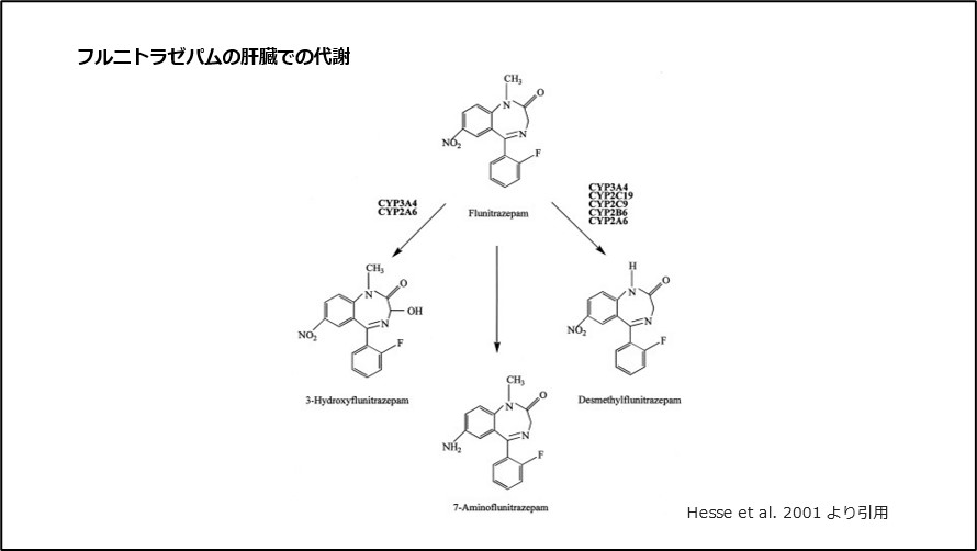 フルニトラゼパムの肝臓での代謝