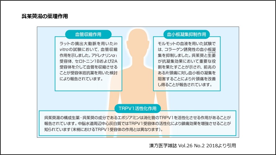 呉茱萸湯の薬理作用